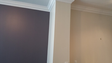 Living & Dining Room