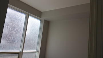 Living & Dining Room